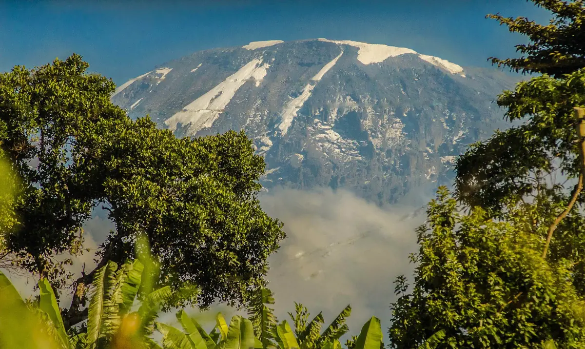 Kibo above the trees near Moshi
