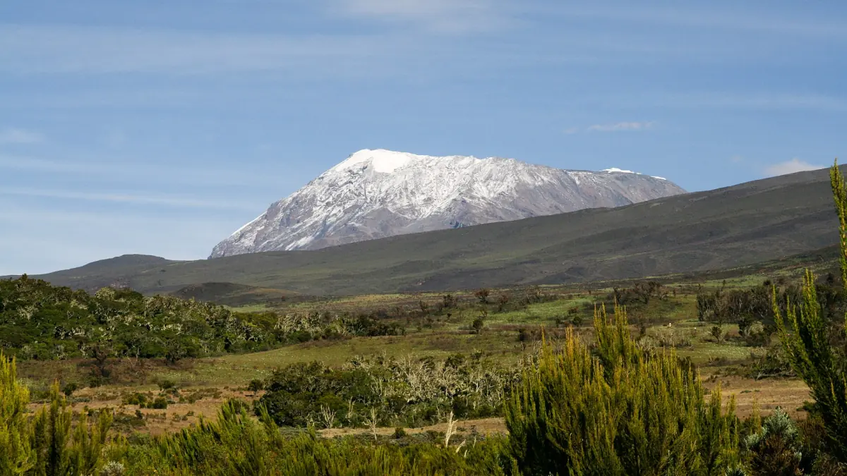 Kibo seen from the Marangu route