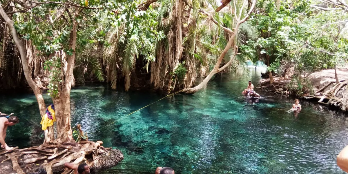 The clear pool at Kikuletwa (Chemka) hot springs