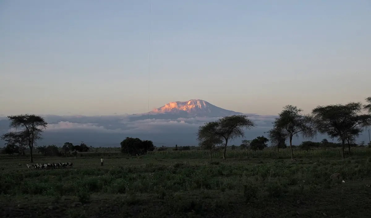 Kilimanjaro at sunset