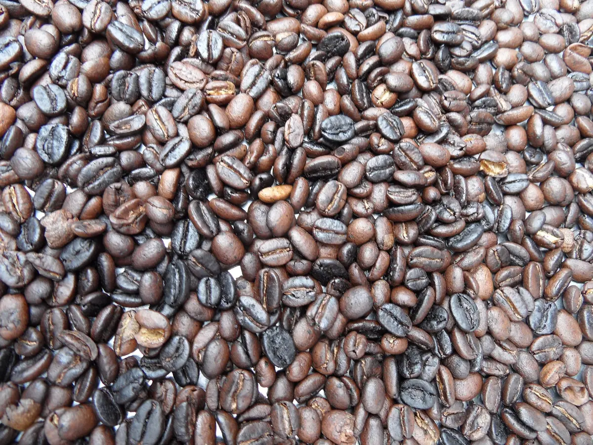 Roasted coffee beans