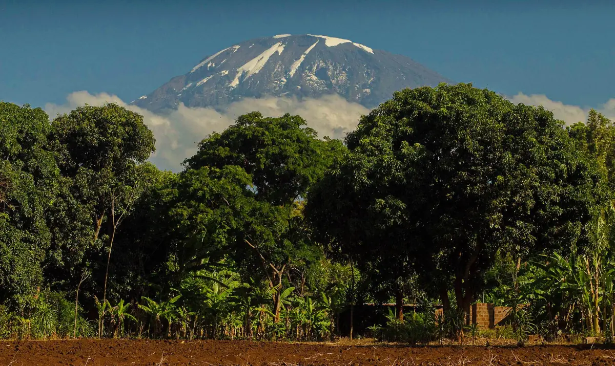 Kilimanjaro from the Moshi area