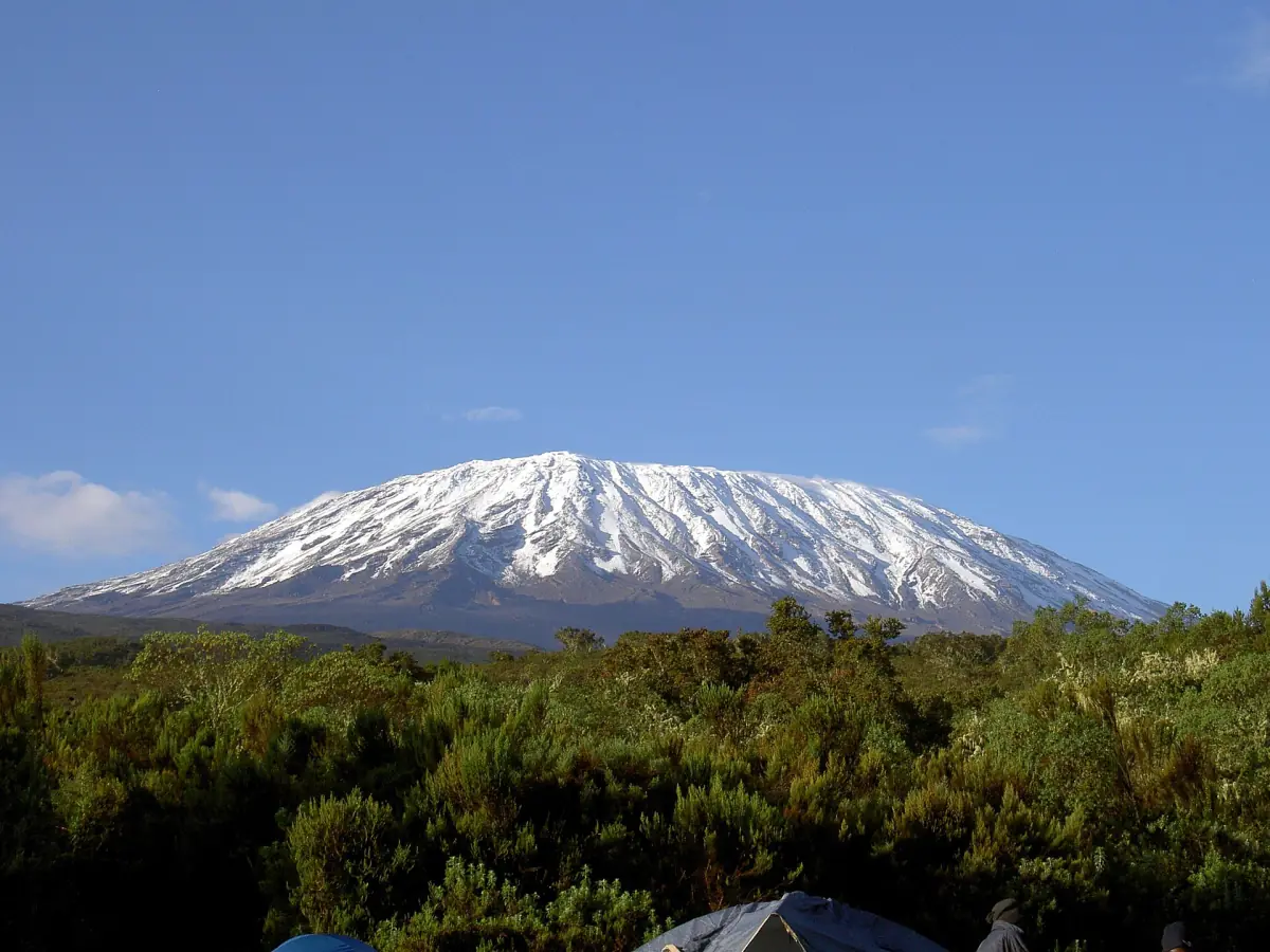 Kibo with its snow cap above the forest